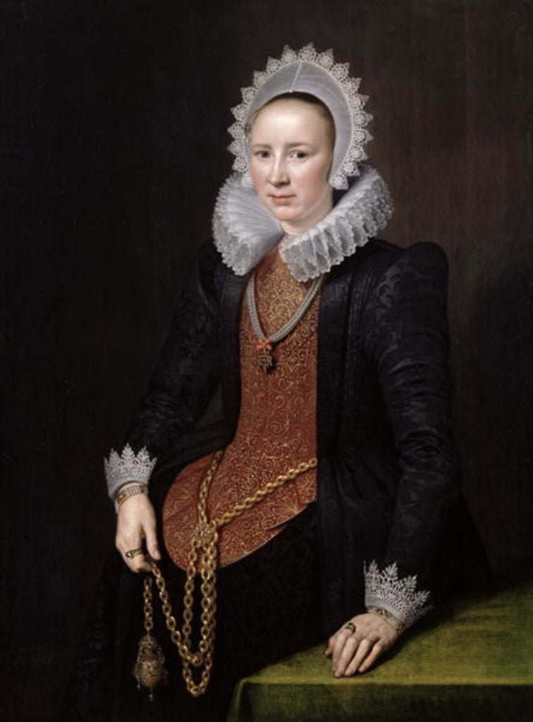 Detail of Portrait of a Lady aged 29, 1615 by Michiel Jansz. van Miereveld