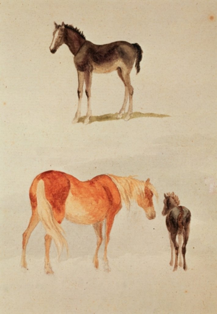 Detail of Mares and foals by Anonymous Anonymous