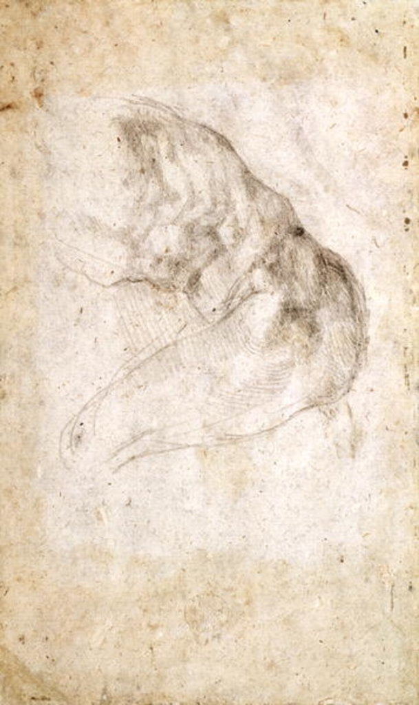 Detail of Study for The Creation of Adam by Michelangelo Buonarroti