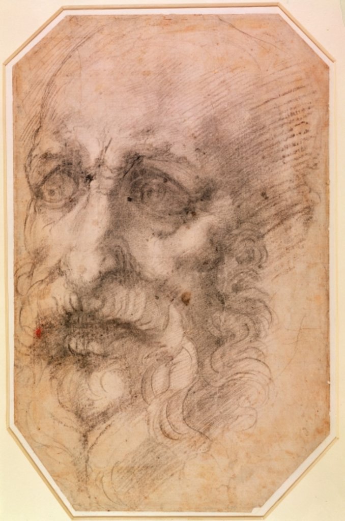 Detail of Portrait of a Bearded Man by Michelangelo Buonarroti