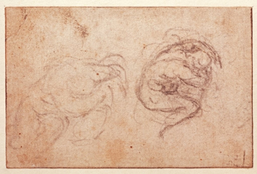Detail of Study of a Crouching Figure by Michelangelo Buonarroti