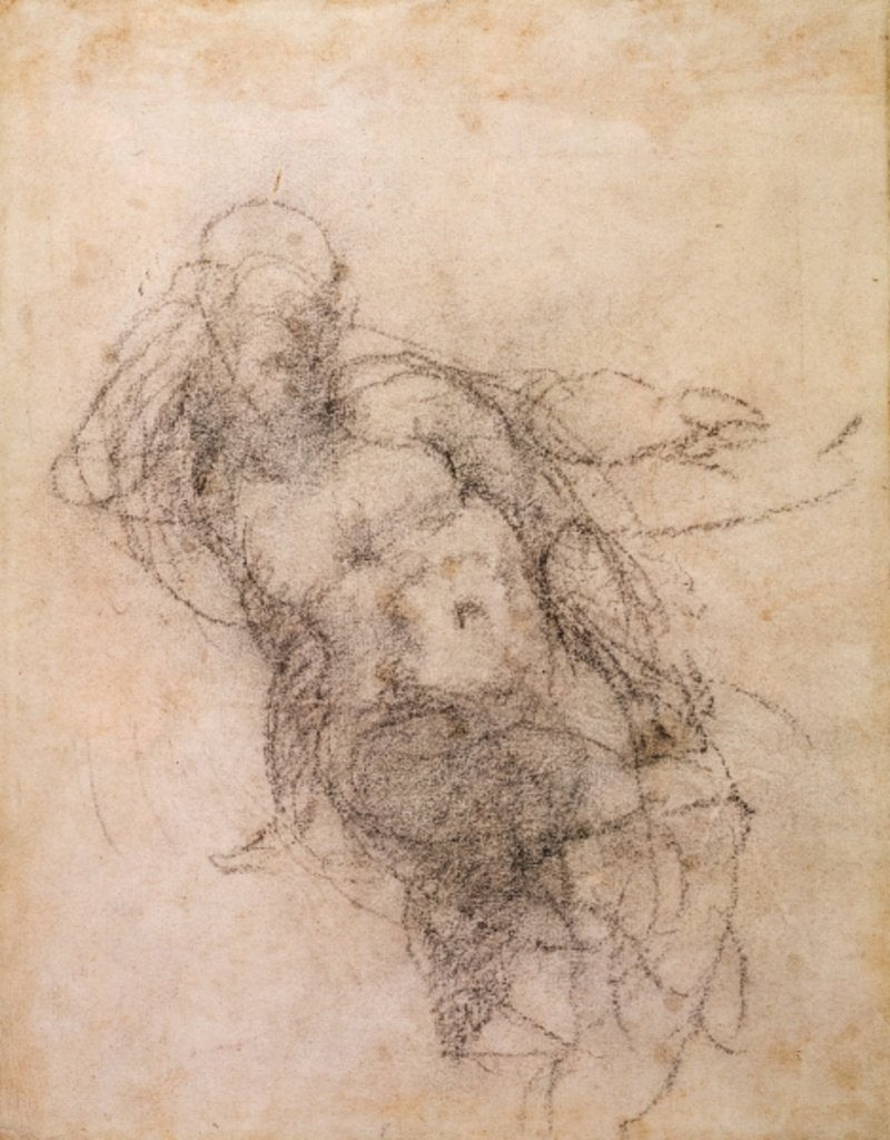 Detail of Study for Noah in 'The Drunkenness of Noah', 1508-12 by Michelangelo Buonarroti
