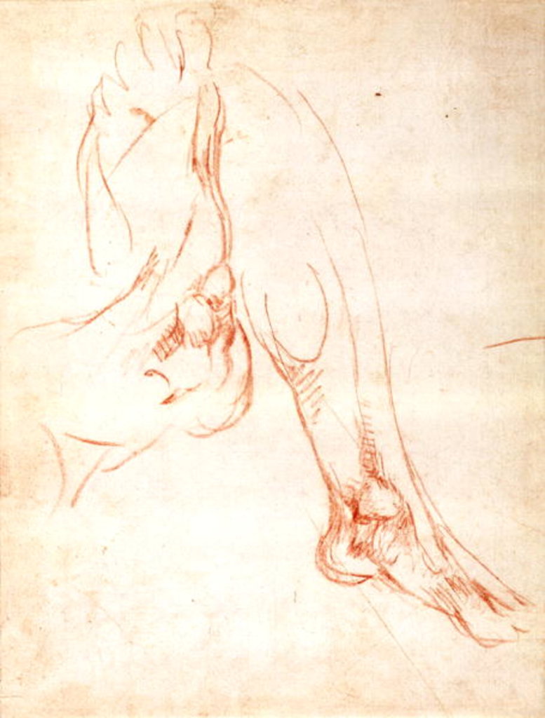 Detail of Study of a lower leg and foot by Michelangelo Buonarroti