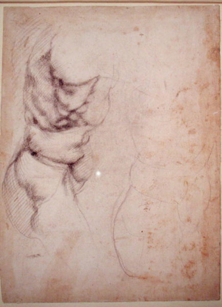 Detail of Study of torso and buttock by Michelangelo Buonarroti