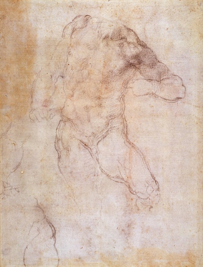 Detail of Study of a male nude by Michelangelo Buonarroti