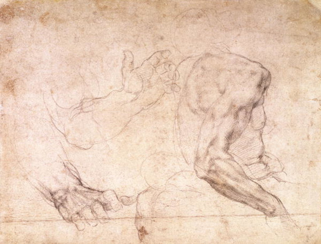 Detail of Studies of hands and an arm by Michelangelo Buonarroti
