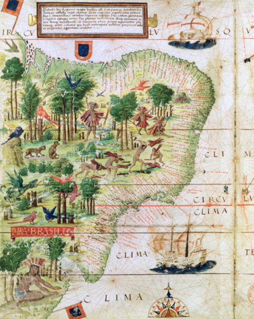 Detail of Brazil from the 'Miller Atlas' by Pedro Reinel, c.1519 by Portuguese School