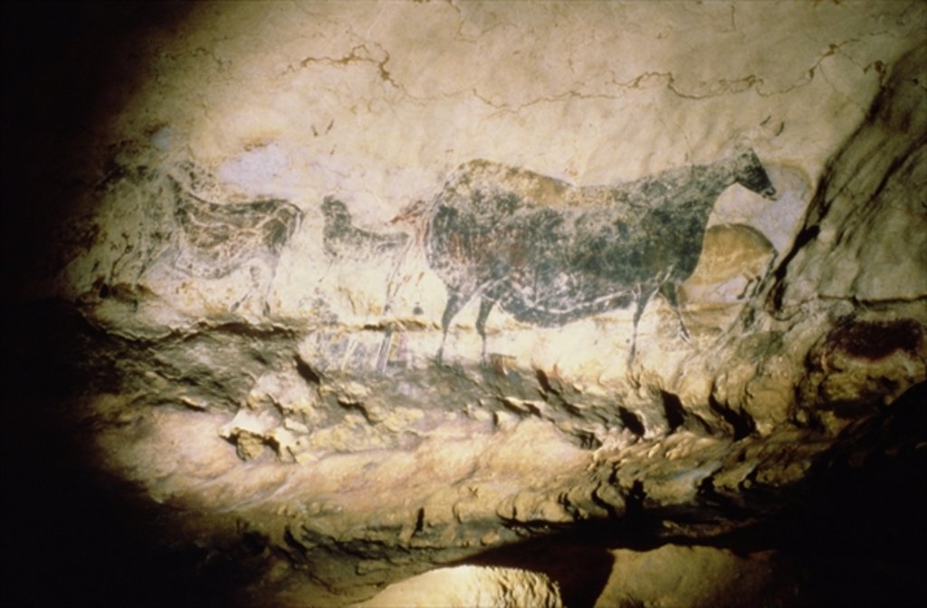 Detail of Rock painting of a black cow, c.17000 BC by Anonymous