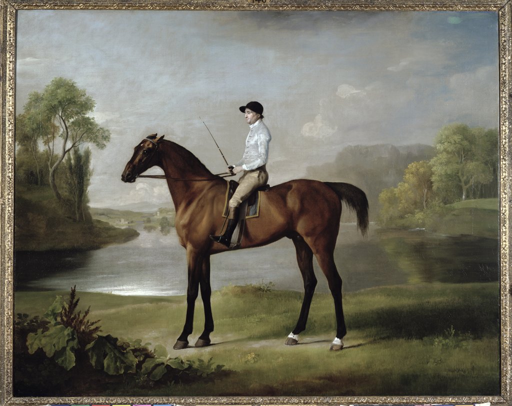 Detail of The Marquess of Rockingham's 'Scrub', with John Singleton up, 1762 by George Stubbs