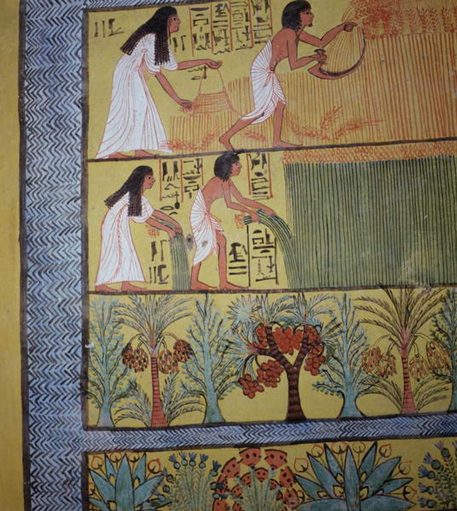 Detail of Detail of a harvest scene on the East Wall by Egyptian 19th Dynasty