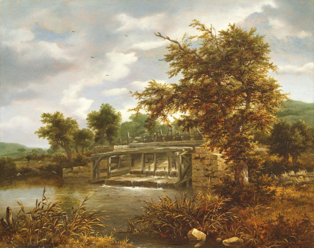 Detail of A wooded river landscape with a sluice gate by Jacob Isaaksz. or Isaacksz. van Ruisdael