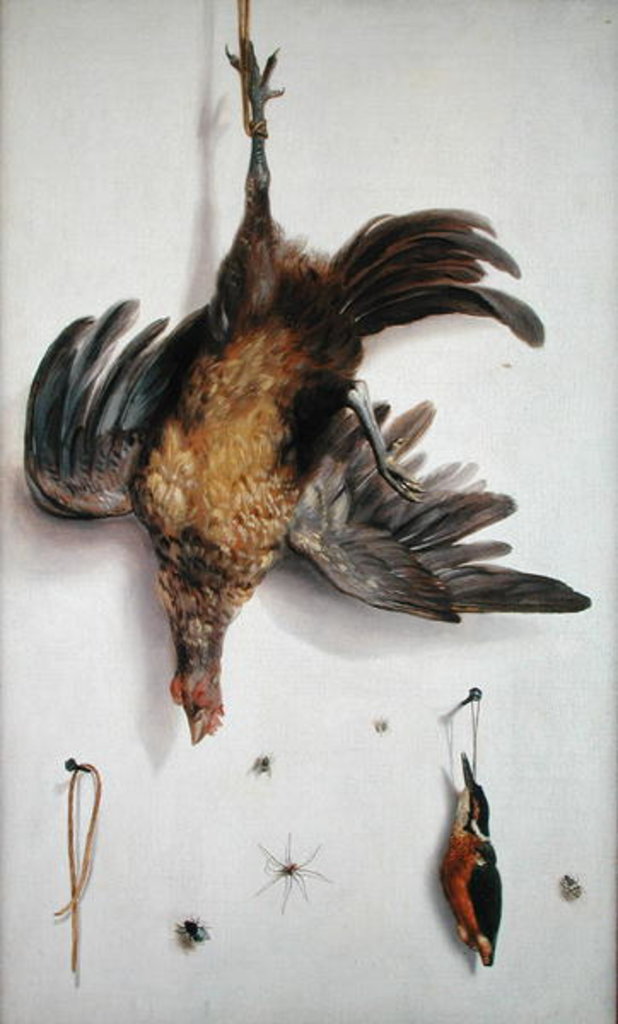 Detail of A Hen and a Kingfisher Hanging on a String by Jacobus Biltius