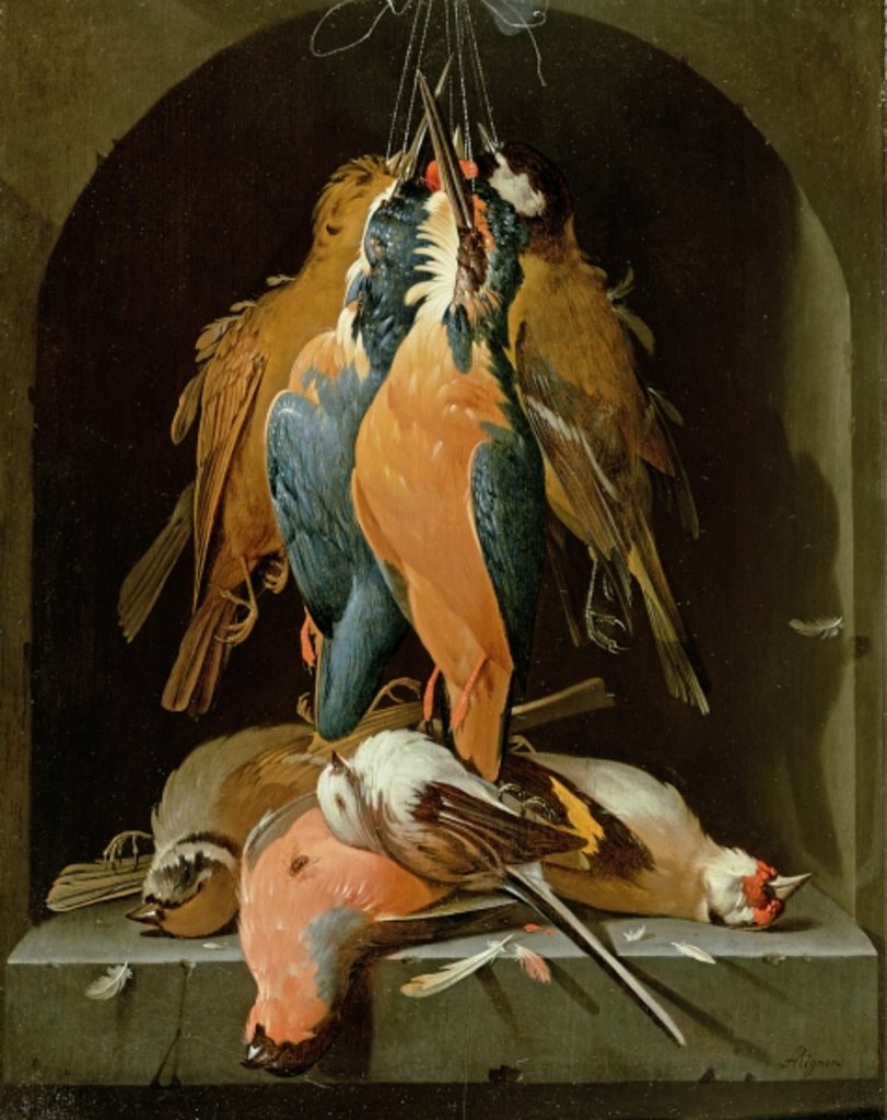 Detail of Still life of birds by Abraham Mignon