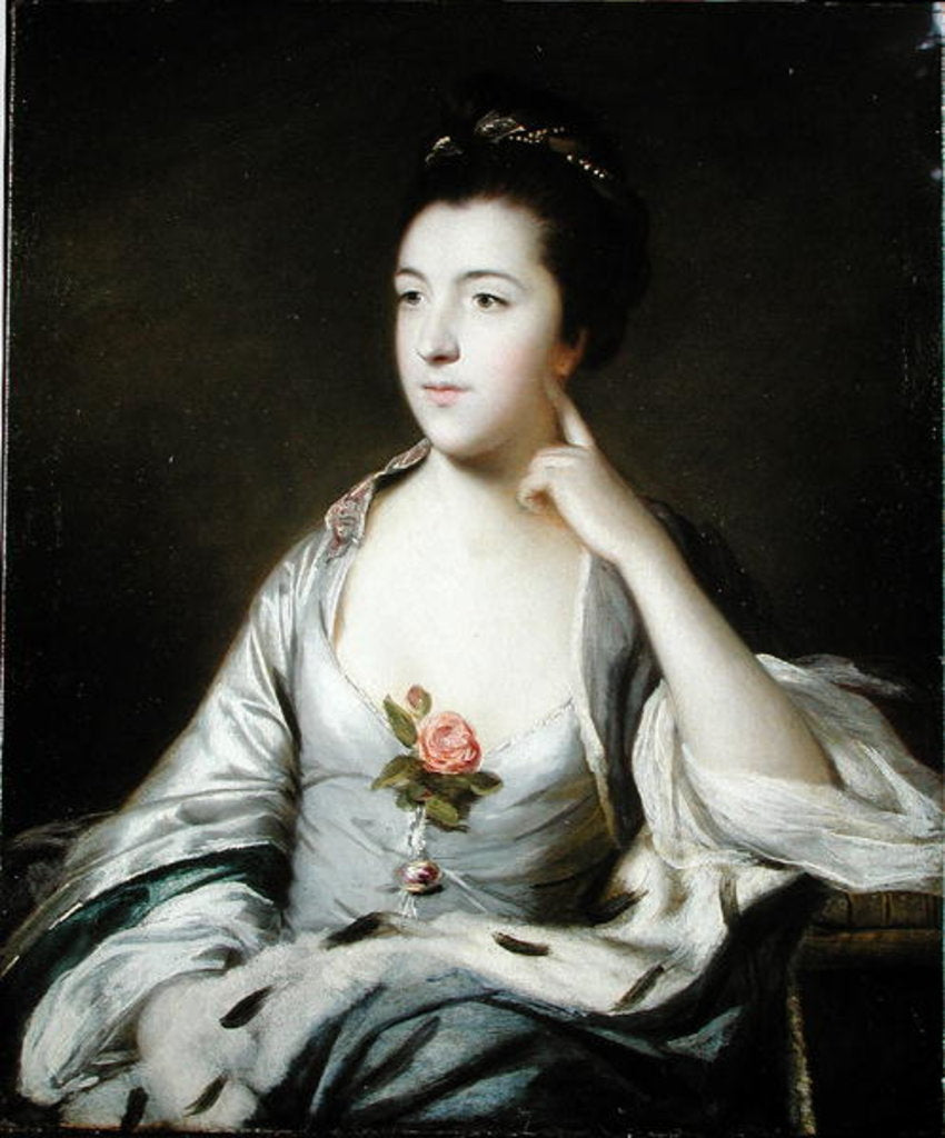 Detail of Portrait of Lady Juliana Dawkins, 1760 by Joshua Reynolds