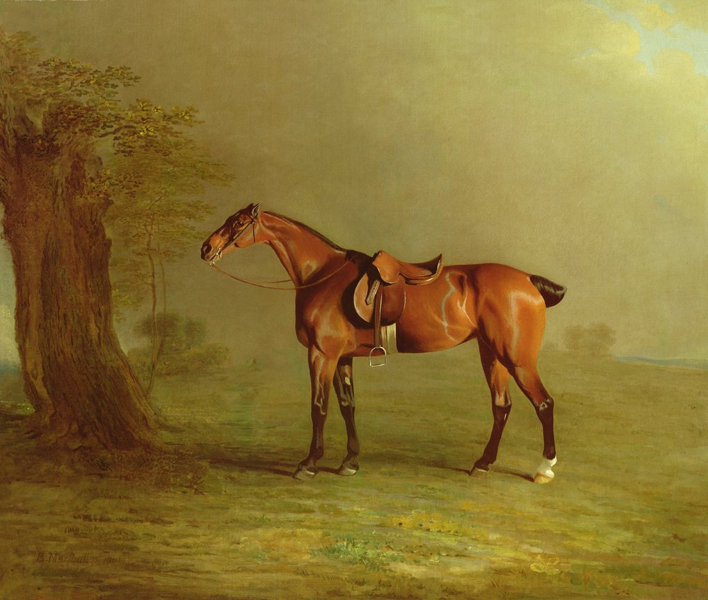 Detail of Racehorse by Benjamin Marshall