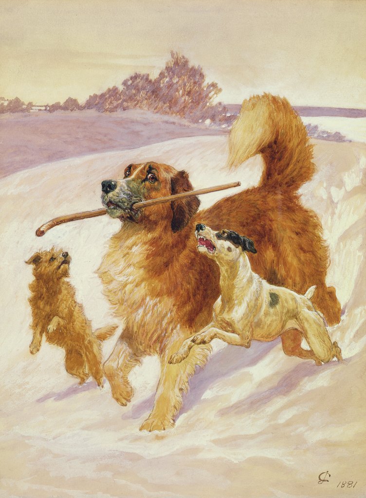 Detail of Three dogs playing in the snow, 1881 by John Charlton