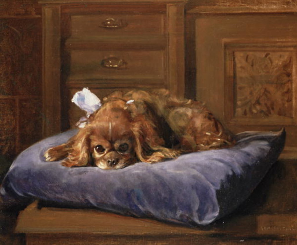 Detail of King Charles Spaniel by C. Fulton