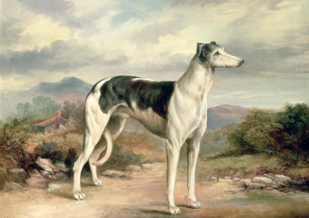 Detail of A Greyhound in a hilly landscape by James Henry Beard