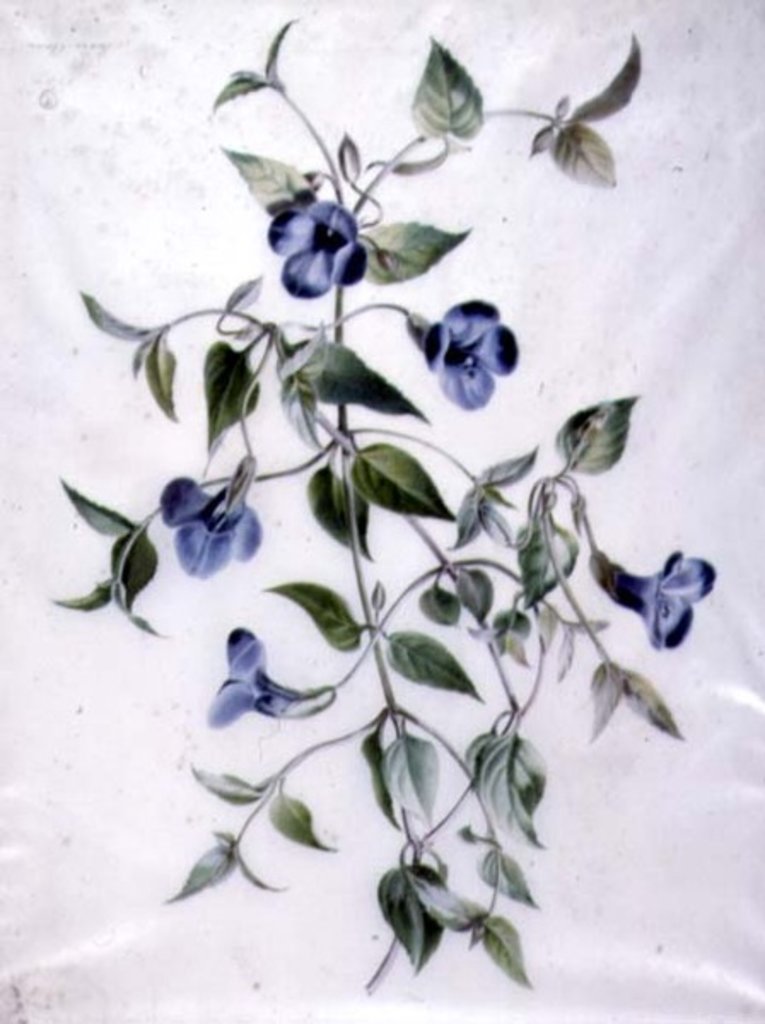 Detail of Flower Pieces by Marie-Anne