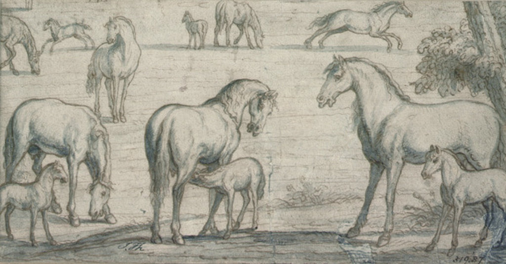 Detail of Mares and Foals, 17th century by Francis Barlow
