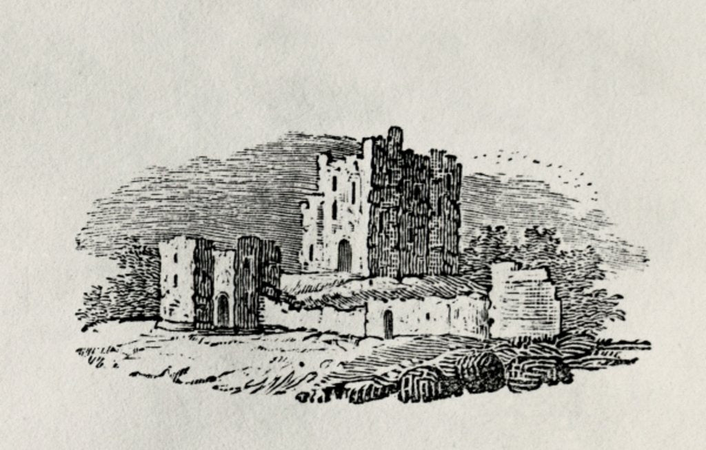 Detail of Endpiece by Thomas Bewick