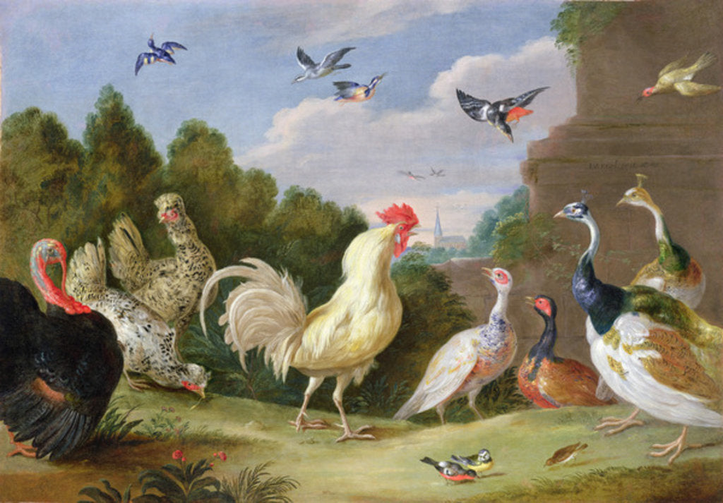 Detail of Wooded Landscape with a Cock, Turkey, Hens and other Birds, 17th century by Jan van the Elder Kessel