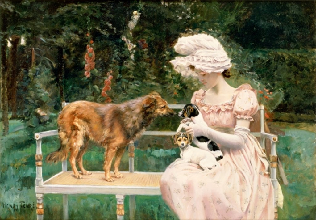 Detail of Introductions by Charles Henry Tenre
