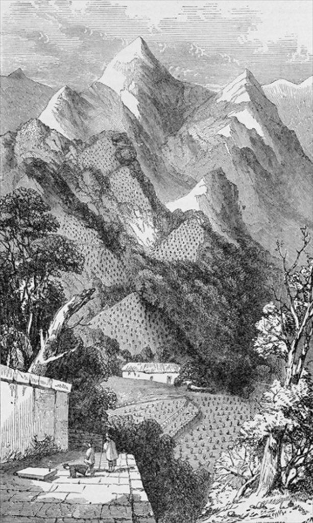 Detail of Scene in the Bohea Mountains, on Marco Polo's route, 1903 by Anonymous