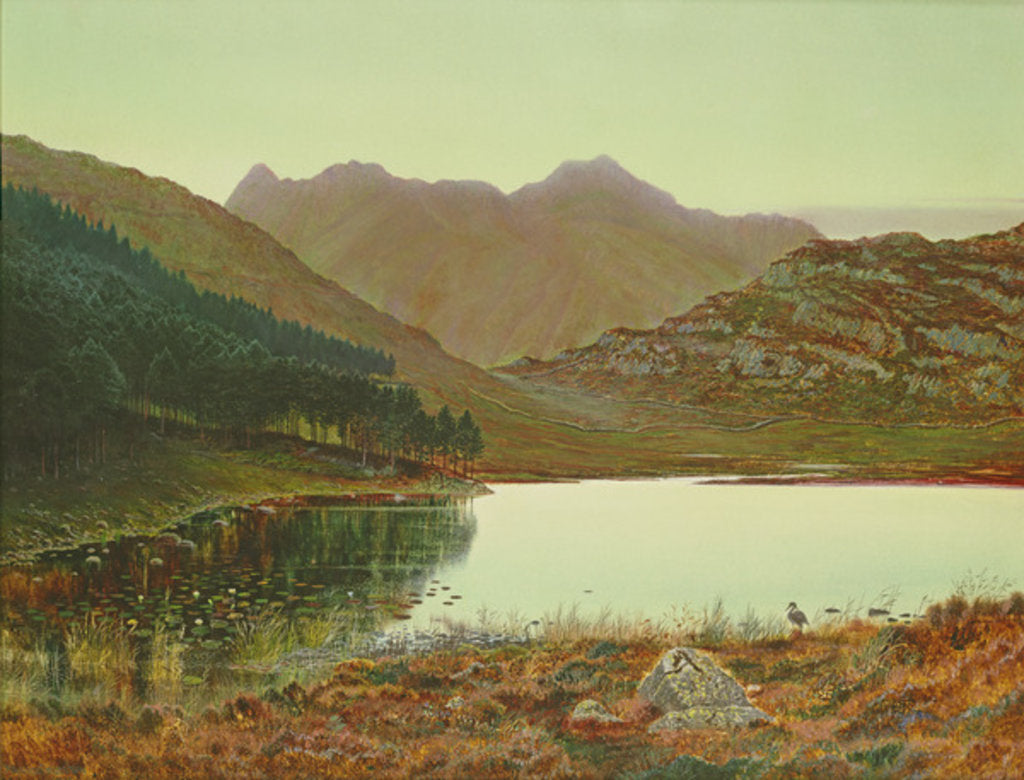 Detail of Blea Tarn by John Atkinson Grimshaw