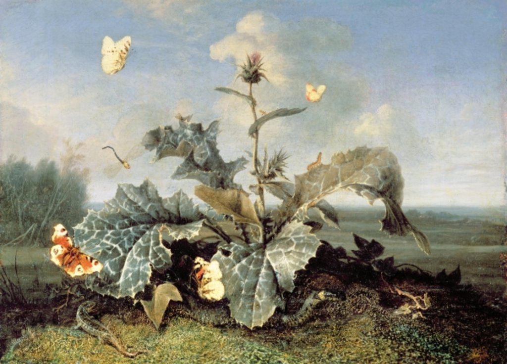 Detail of The Burdock Bush by Otto Marseus van Schrieck