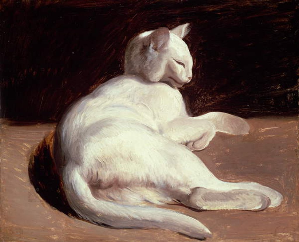 Detail of The White Cat, c.1817-18 by Theodore Gericault