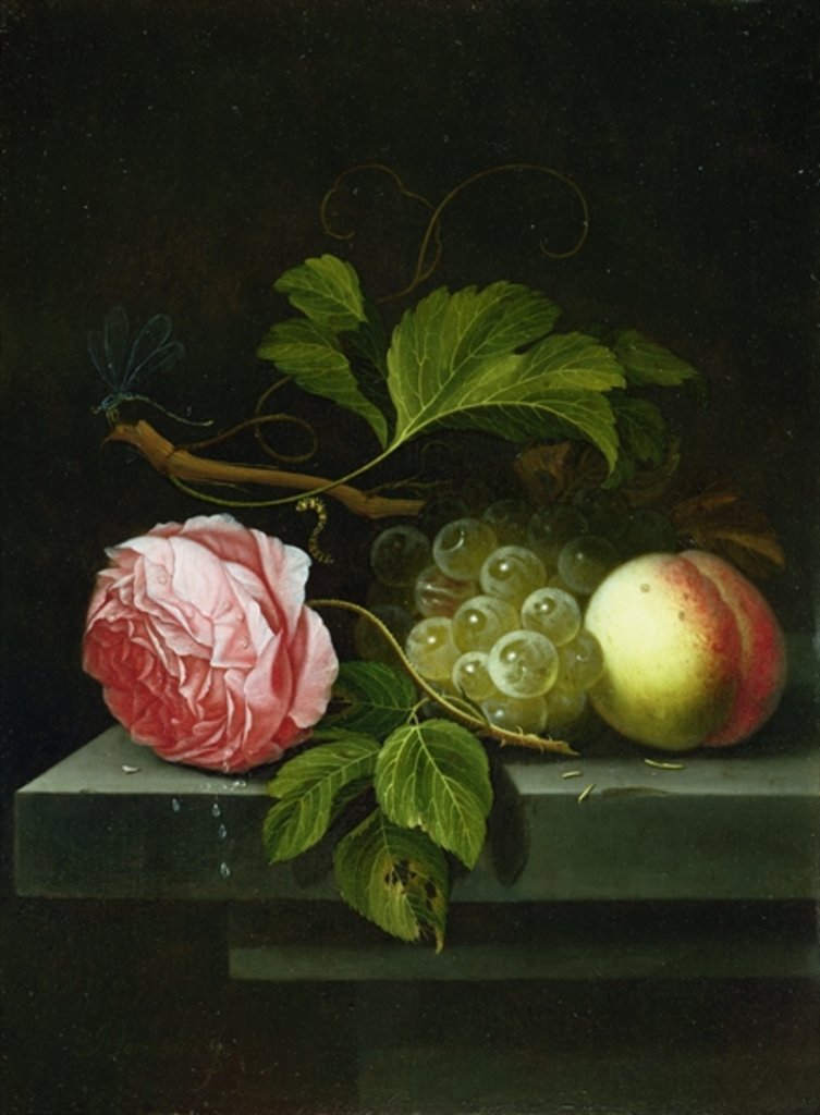 Detail of A Still Life with a Rose, Grapes and Peach, 17th century by Johannes Borman