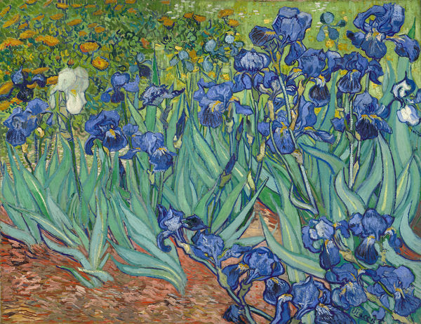 Detail of Irises, 1889 by Vincent van Gogh