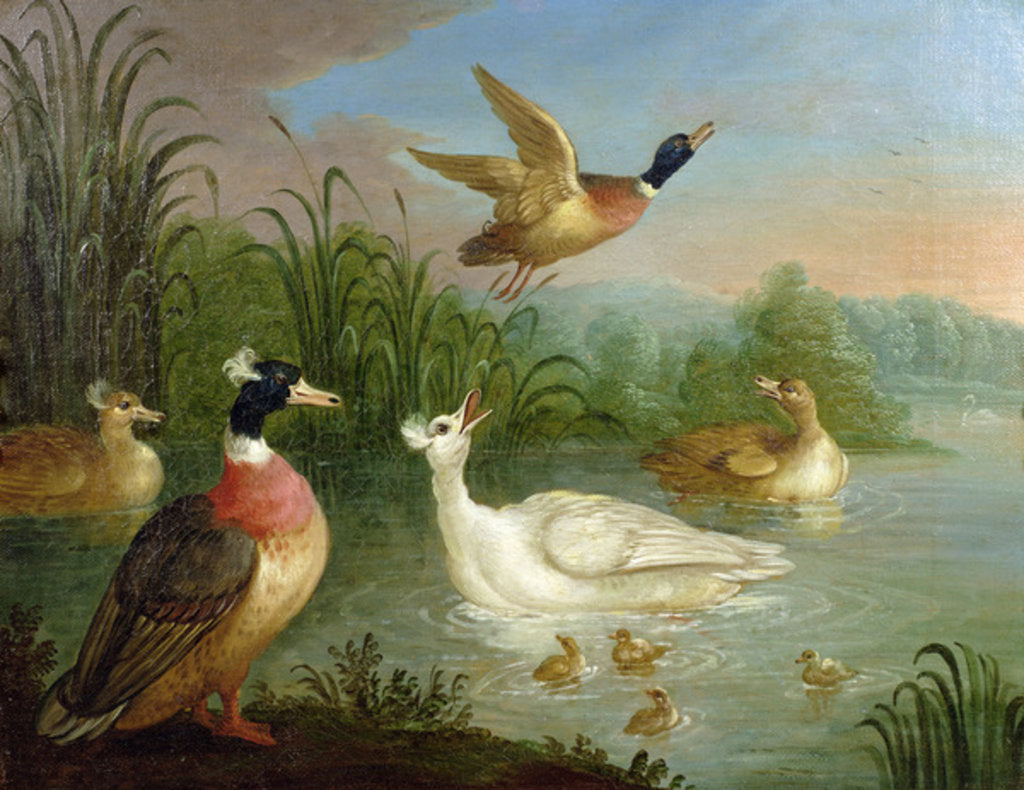 Detail of Ducks on a River Landscape by Marmaduke Craddock