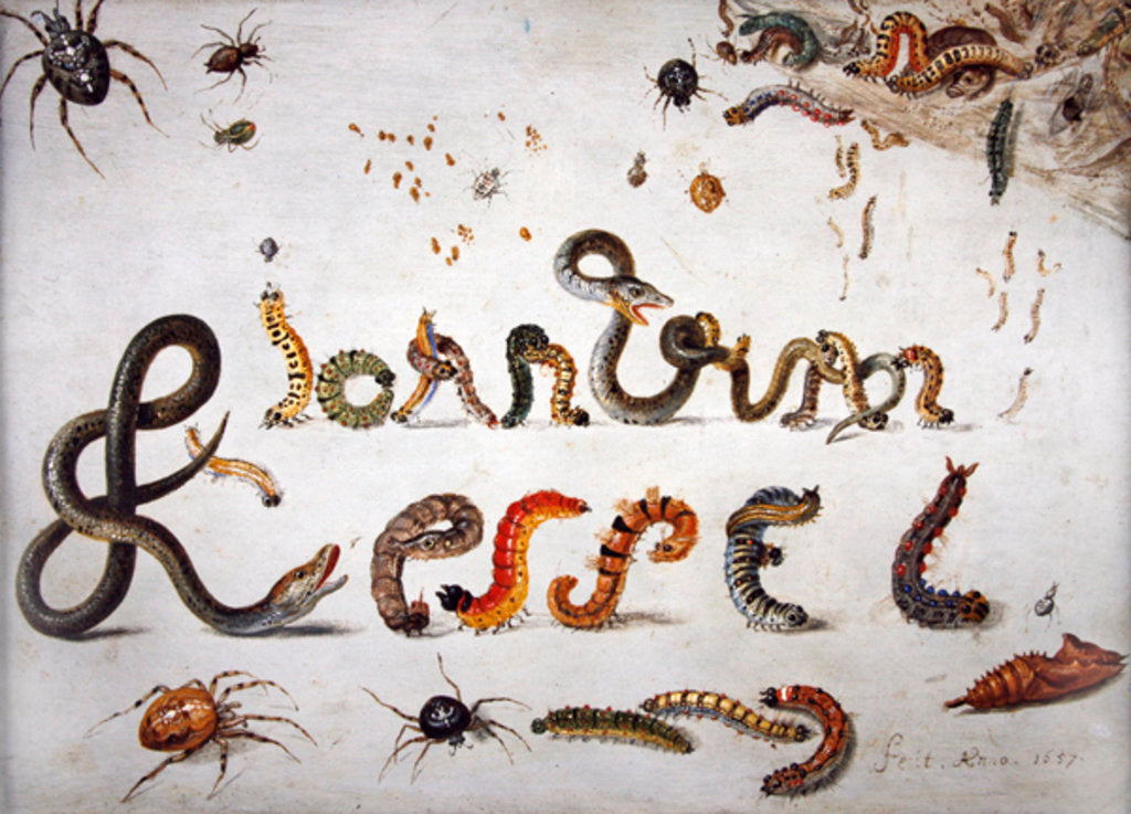 Detail of Garden and other spiders, caterpillars spell the artist's name, 1657 by Jan van the Elder Kessel