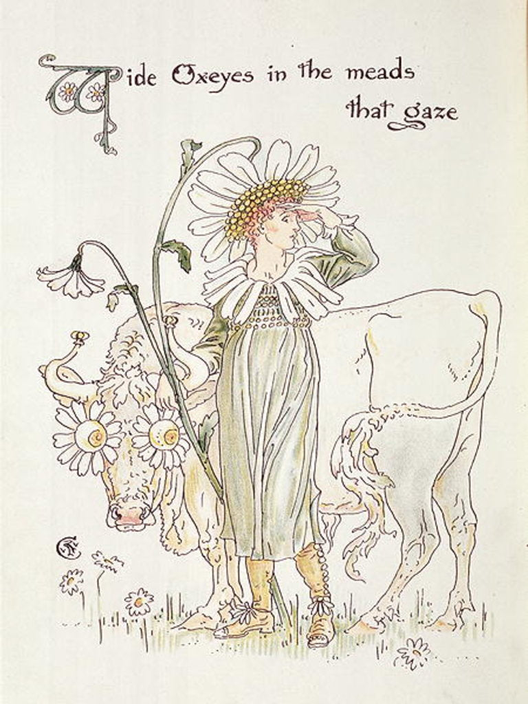 Detail of Wild Oxeyes in Meads that Gaze by Walter Crane