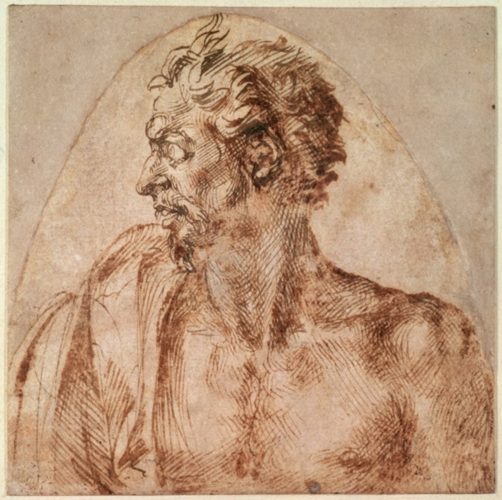 Detail of Study of Head and Shoulders by Michelangelo Buonarroti