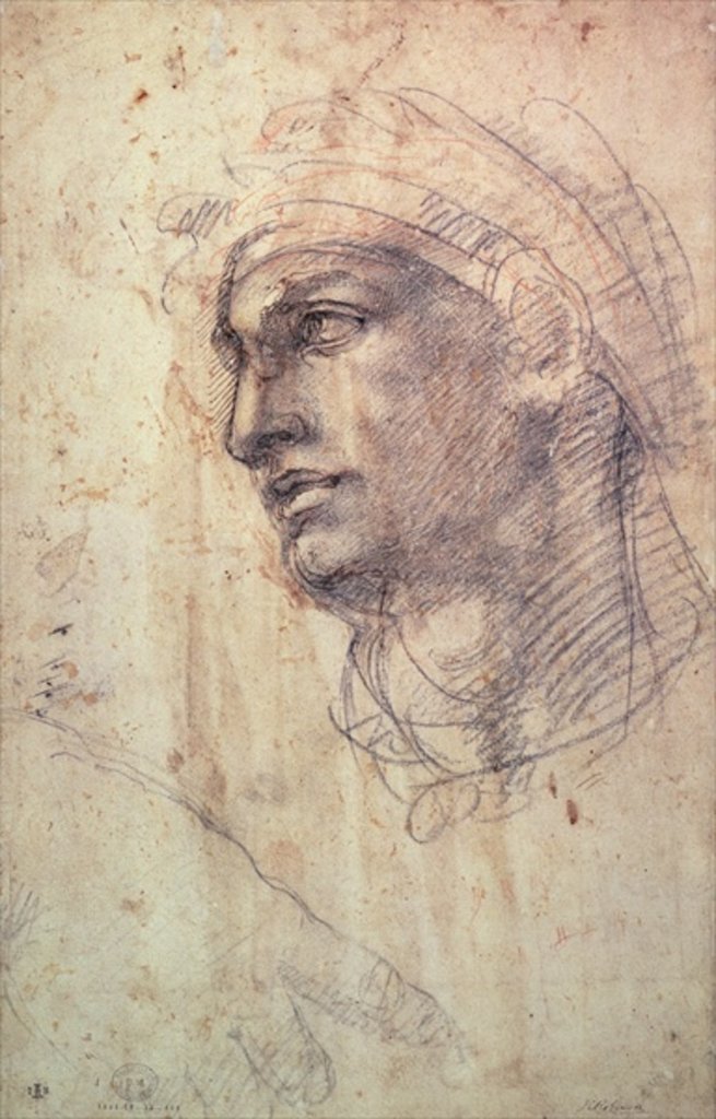 Detail of Study of a Head by Michelangelo Buonarroti