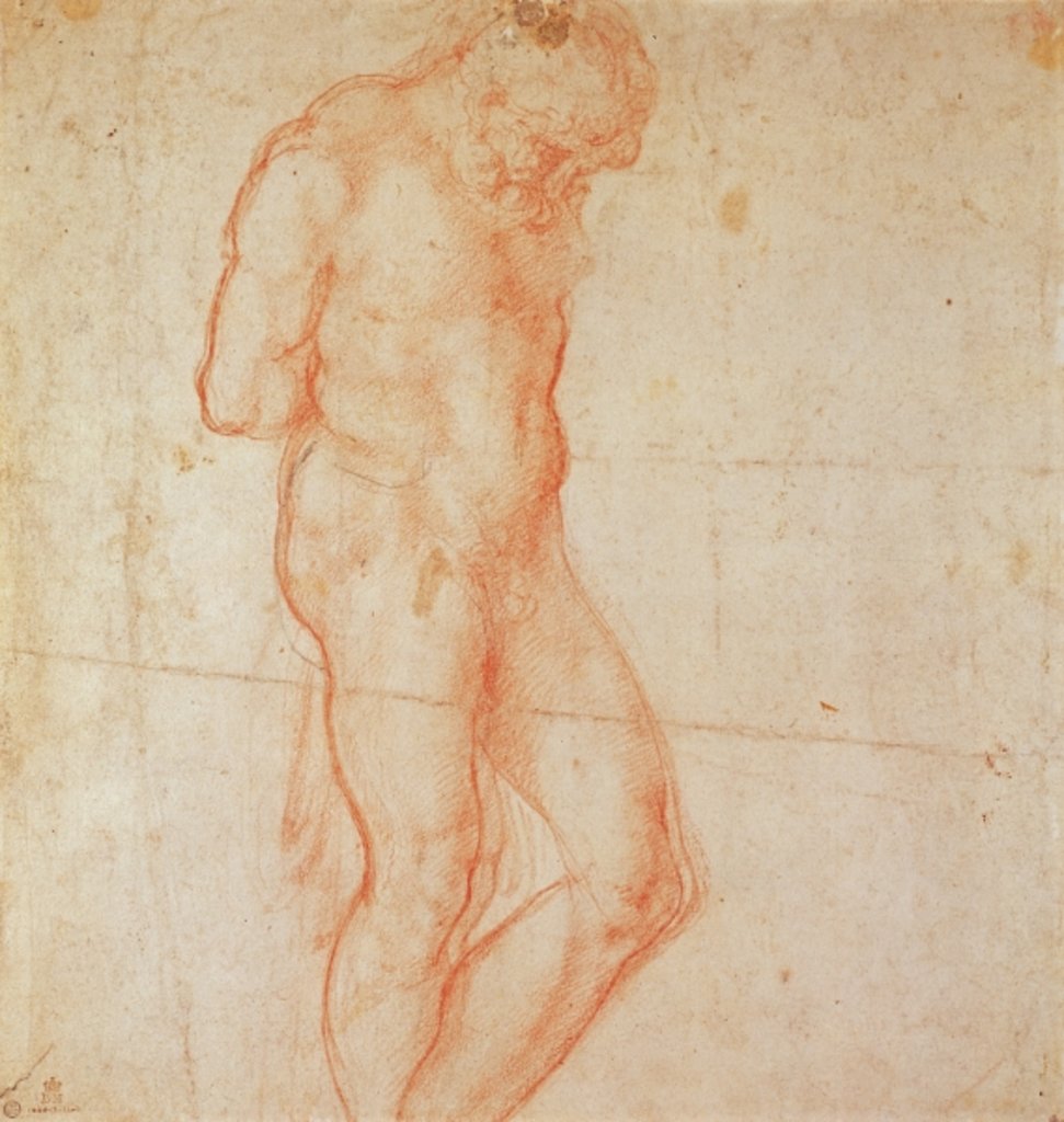 Detail of Study of a Nude by Michelangelo Buonarroti