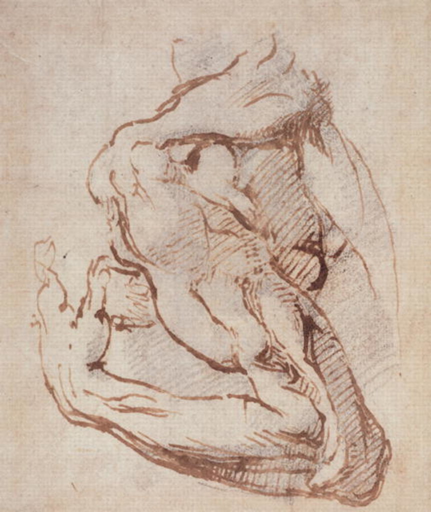 Detail of Study of an Arm Inv.1859/5/14/819 by Michelangelo Buonarroti