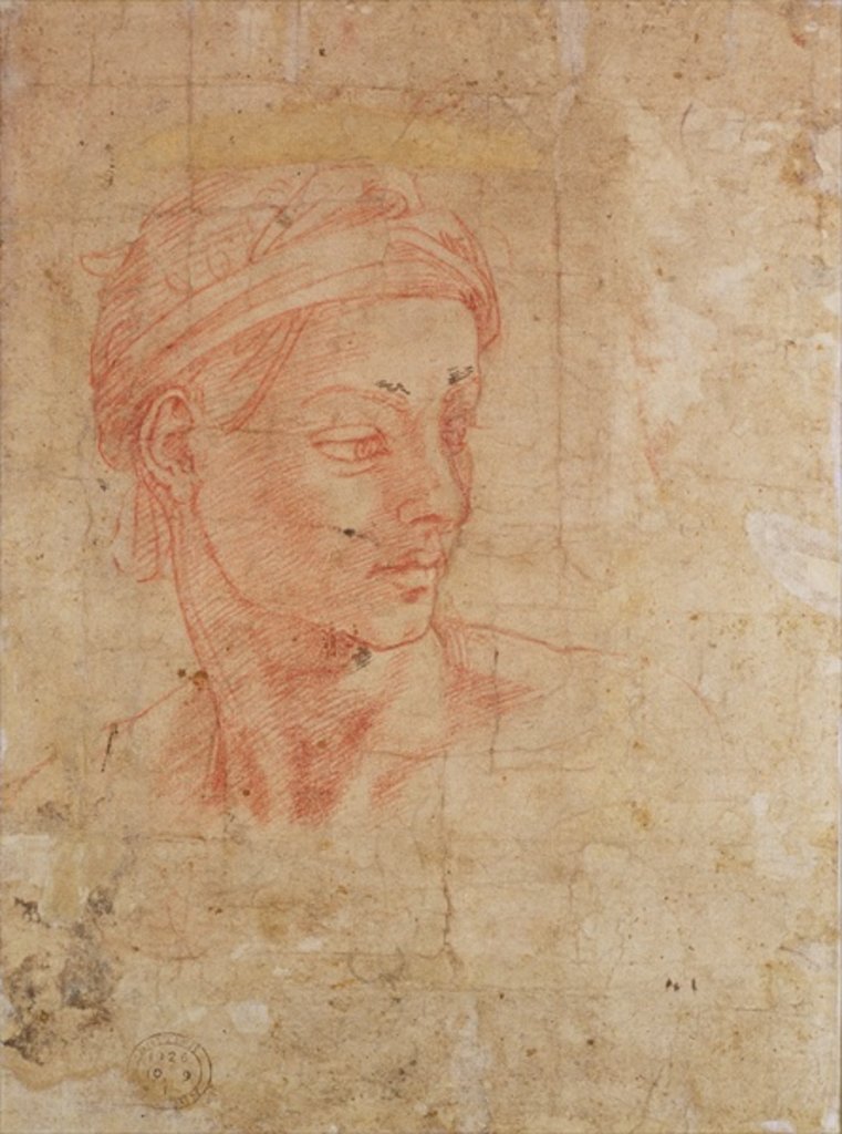 Detail of Study of a Head by Michelangelo Buonarroti