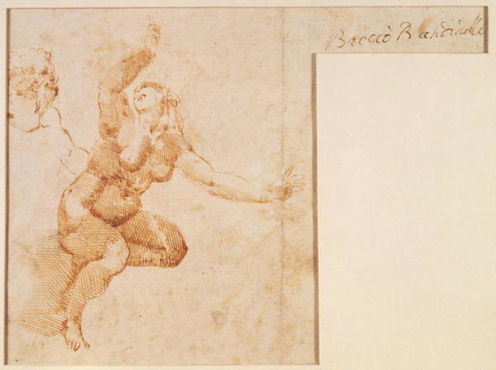Detail of Study of a Female Nude by Michelangelo Buonarroti