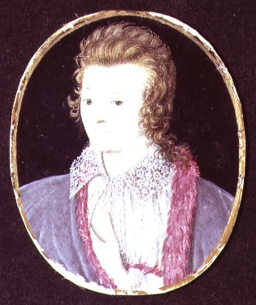 Detail of Unknown Youth, c.1595 by Nicholas Hilliard