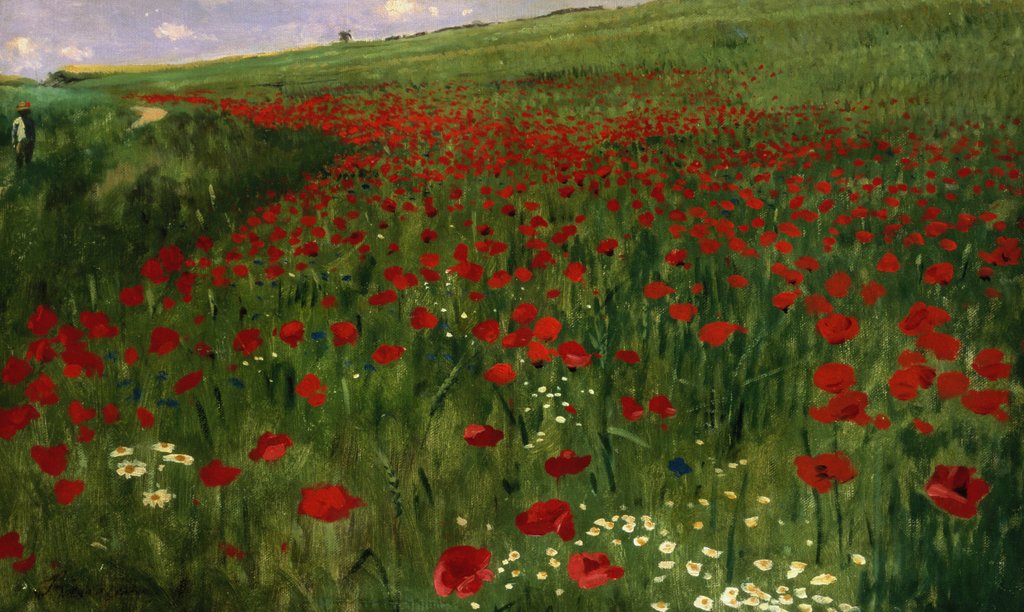 Detail of The Poppy Field, 1896 by Pal Szinyei Merse