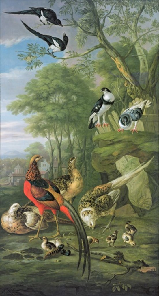 Detail of Cock pheasant, hen pheasant and chicks and other birds in a classical landscape by Pieter Casteels