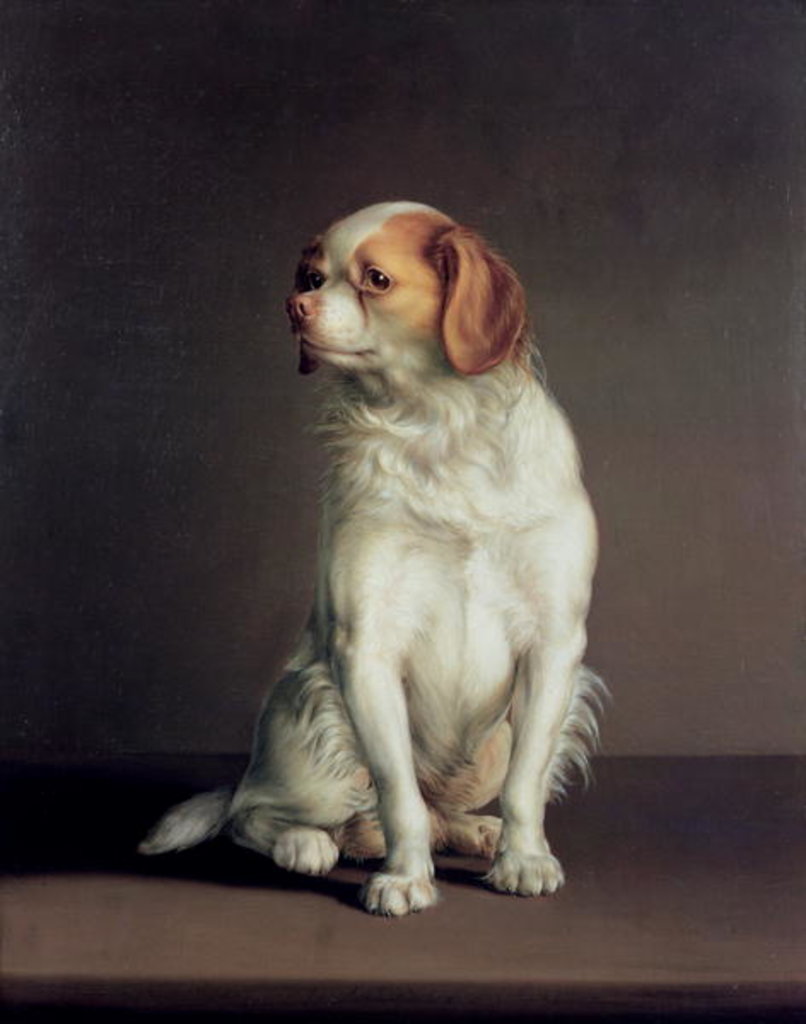 Detail of Portrait of a King Charles Spaniel by Louis Leopold Boilly