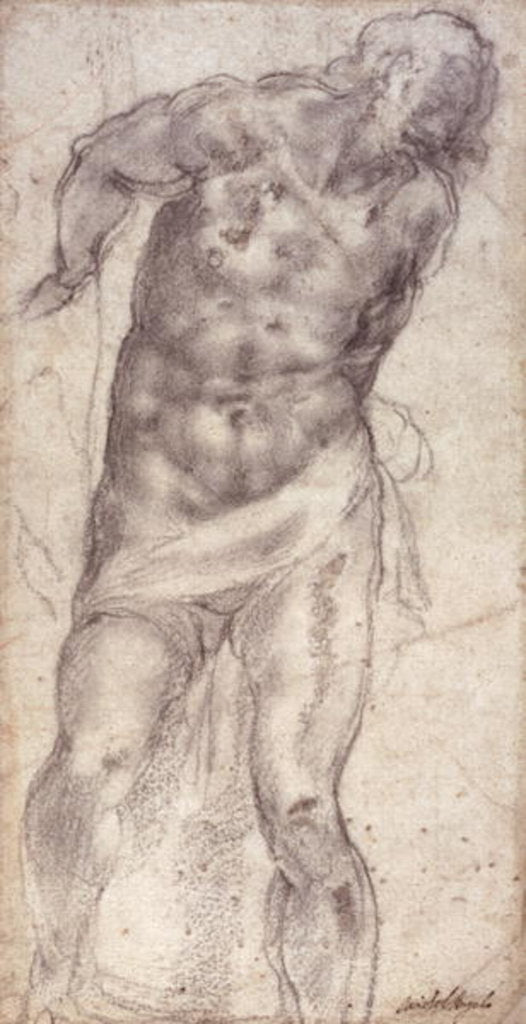 Detail of Figure Study by Michelangelo Buonarroti