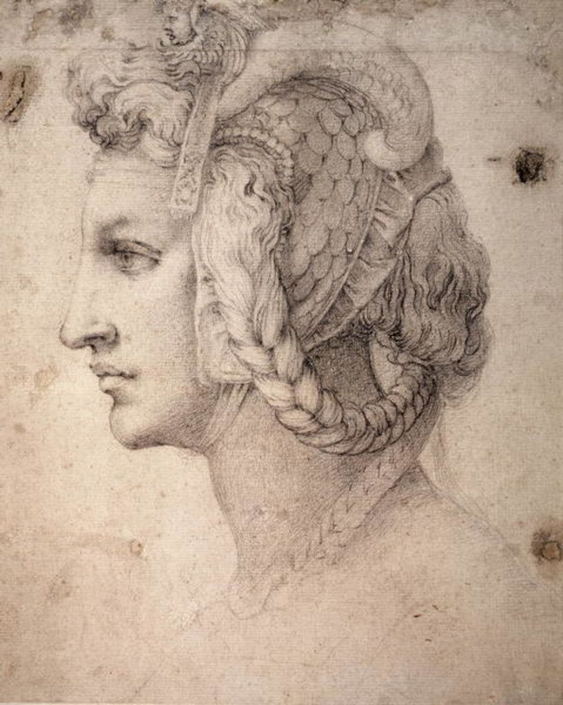 Detail of Study of Head by Michelangelo Buonarroti