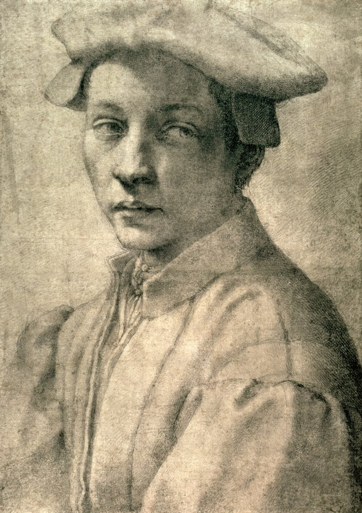 Detail of Portrait of Andrea Quaratesi, c.1532 by Michelangelo Buonarroti