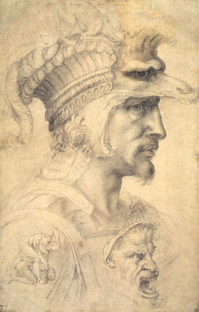 Detail of Ideal head of a warrior by Michelangelo Buonarroti